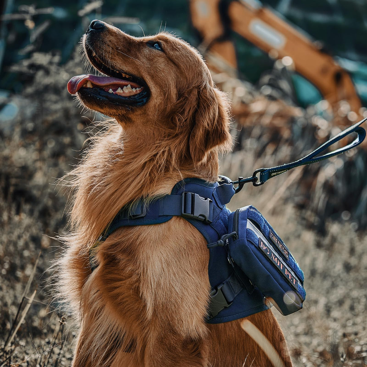 Tactical Dog Harness Vest No (XX-Small / Blue)