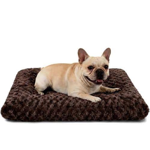 Dog Bed Medium Size (Coffee / 23"L x 18"W x 3"Th)