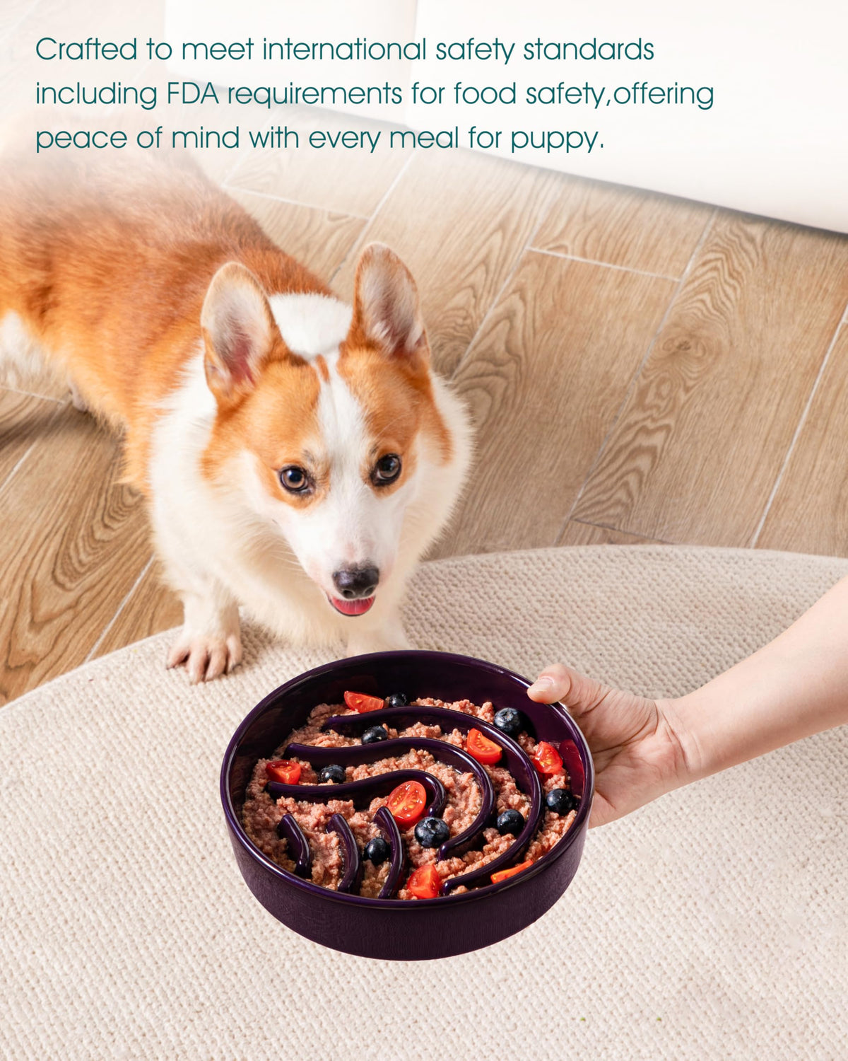 Slow Feeder Dog Bowl (Dark Purple / 1.5 Cups)