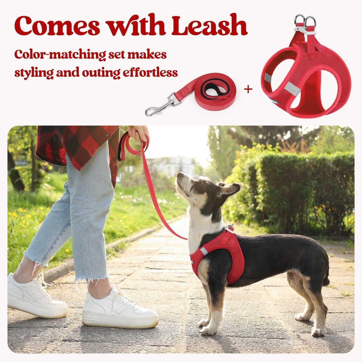 Dog Harness Small Sized and Leash Set (Red / Xxs (chest: 12.4 - 14.2"))