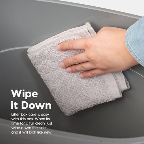 Top Entry Cat Litter Box (Oval / Gray w/ Scoop)