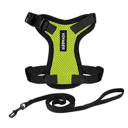 Voyager Step in Lock Cat Harness & Leash Set (Lime Green/Black Trim / XS (Chest: 13 - 16"))