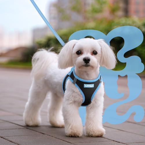 Dog Harness Small Sized and Leash Set (Black & Blue / L (Chest: 18.2"-20.5"))