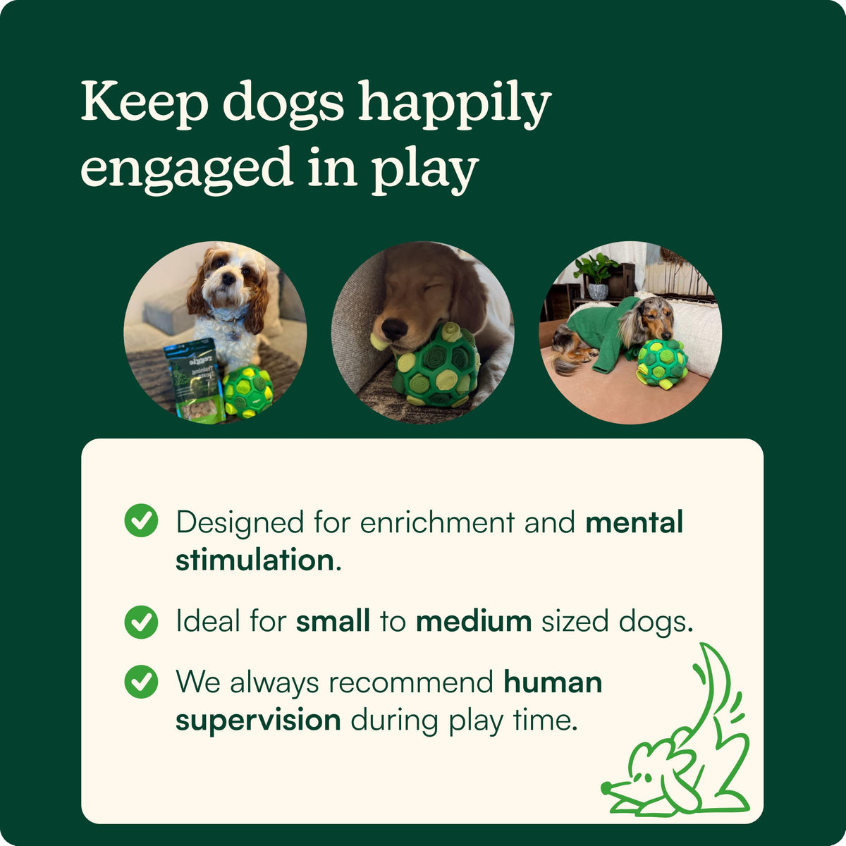 Dog Training Treats with Enrichment Toy (Forager Ball - Turkey & Pumpkin)