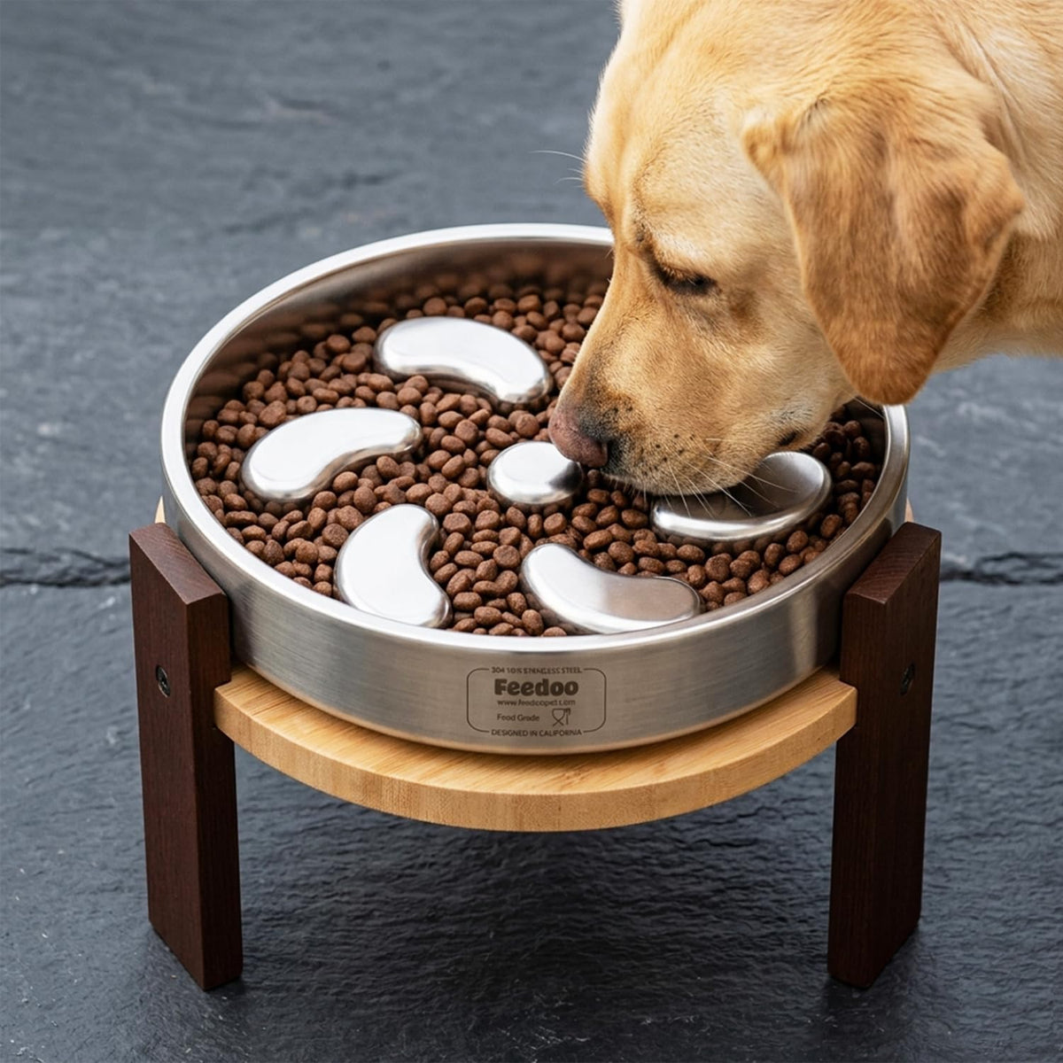 Elevated Dog Bowl Stand (8" Height 4-Cup Slow Feeder)