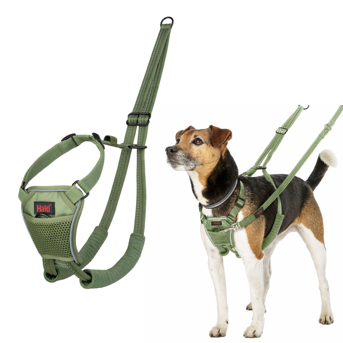 No Pull Dog Harness (Forest Green / XS)