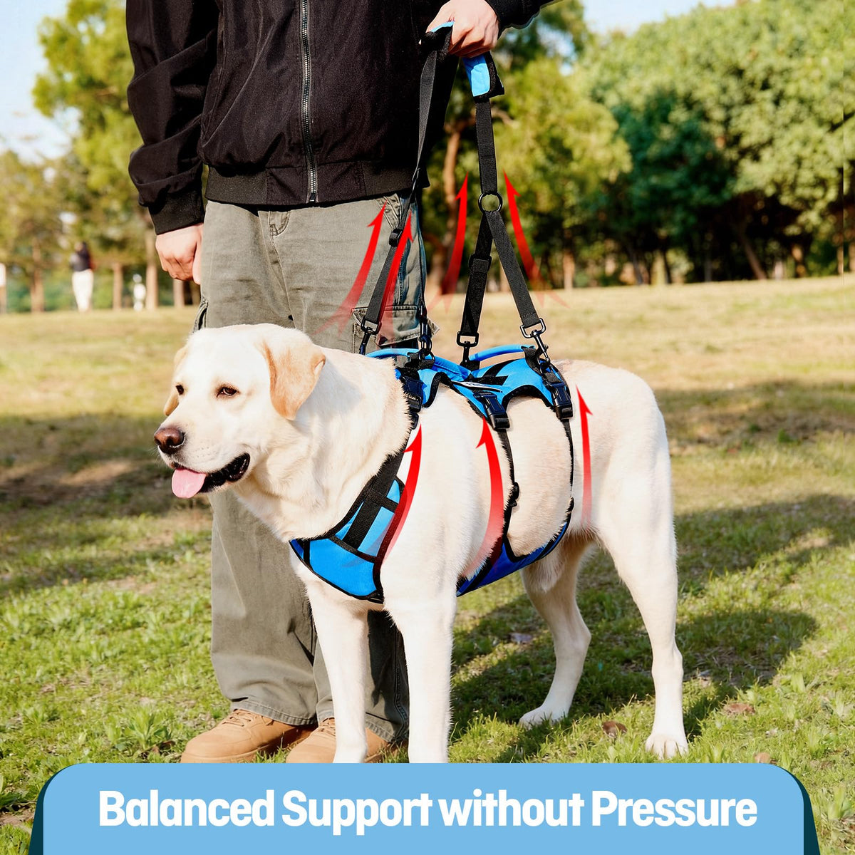 Dog Lift Harness for Large Dogs (Blue / X-Large)