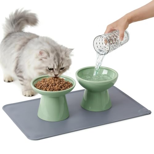 2 Pack Elevated Ceramic Cat Bowls Extra Wide for Food & Water + Food Mat Sage Green+Mat (Sage Green+Mat)