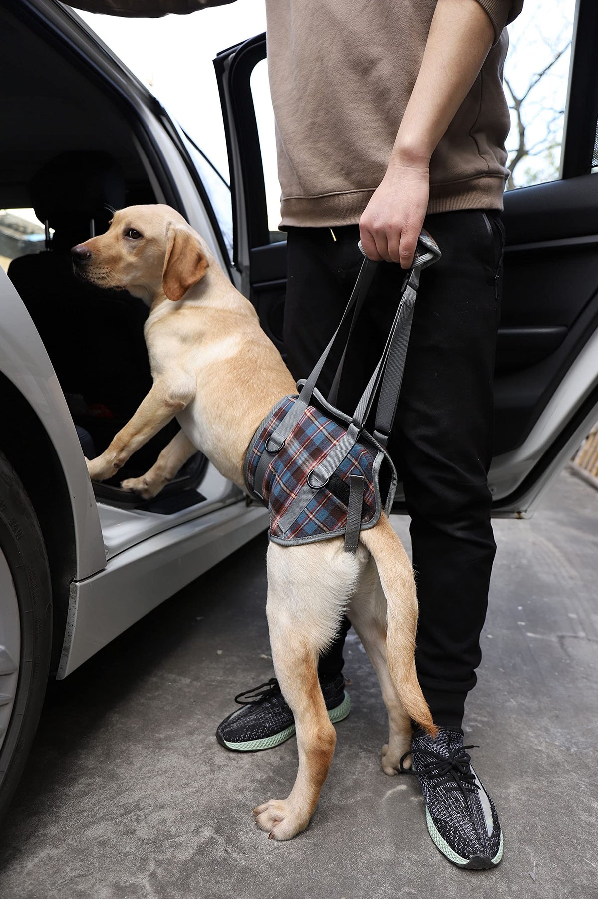 Dog Lift Harness (Medium / Hind Legs-Blue)