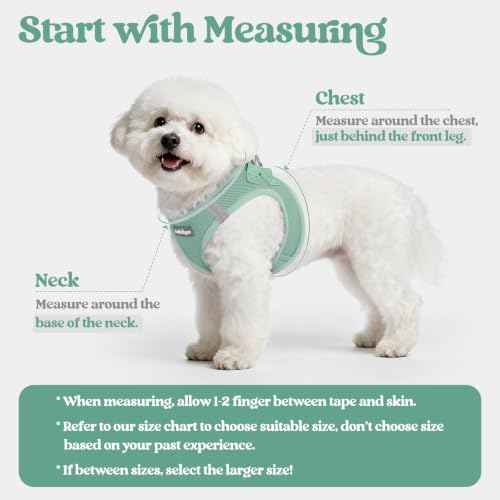 Dog Harness Medium Sized and Leash Set (Moss Green / M (chest: 16 - 18.5"))