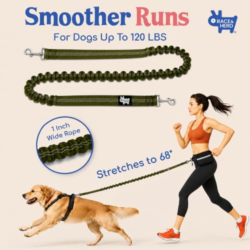 Dog Running Leash Hands Free (Olive)
