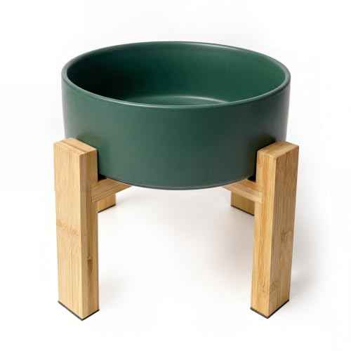 Elevated Ceramic Large Dog Bowl (Large / Green)