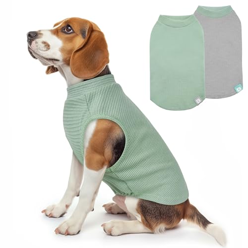 2Pack Waffle Dog Shirt for Medium Large Dogs Striped Dog Sweater (XX-Large (28-50lbs) / 2Pack(Green+Grey))
