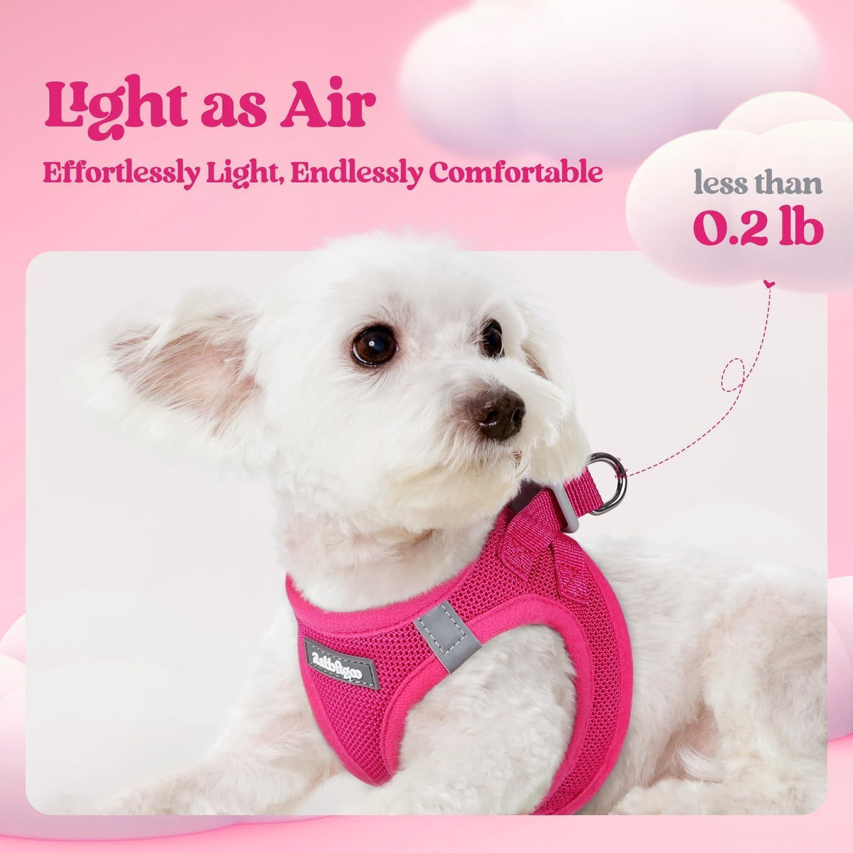 Dog Harness Small Sized and Leash Set (Rose Red / S (chest: 15.1 - 16.5"))