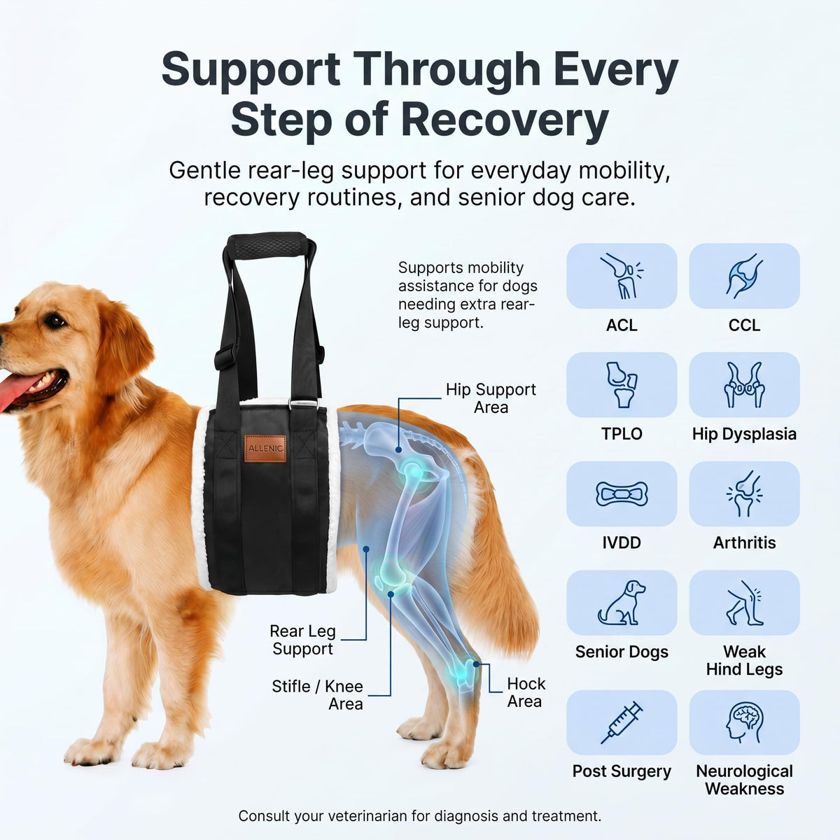 Dog Lifting Sling Dog Lift Harness for Back Legs (Large / Black)