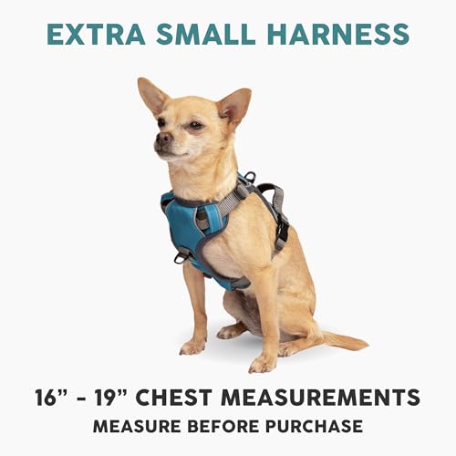Embark No Pull Dog Harness (XS / Blue)