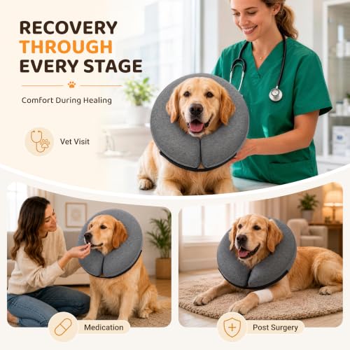 Inflatable Dog Cone After Surgery (Grey / XL(21"-24"))