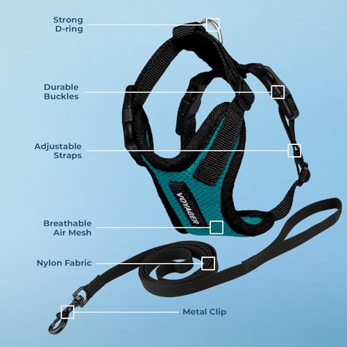 Voyager Step in Lock Cat Harness & Leash Set (Turquoise/Black Trim / XXS (Chest: 11.5 - 14"))