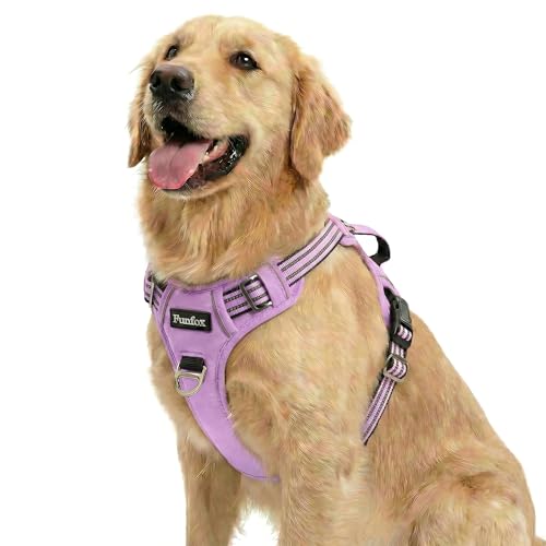 Dog Harness No Pull (Purple / Large)
