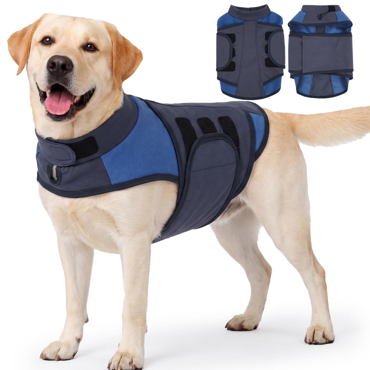 Dog Compression Shirt Anxiety to Reduce Stress (RoyalBlue / L(Chest:25.2"-30.7"))