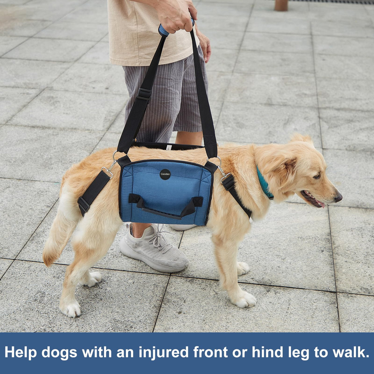 Dog Carry Sling (Blue / Large)