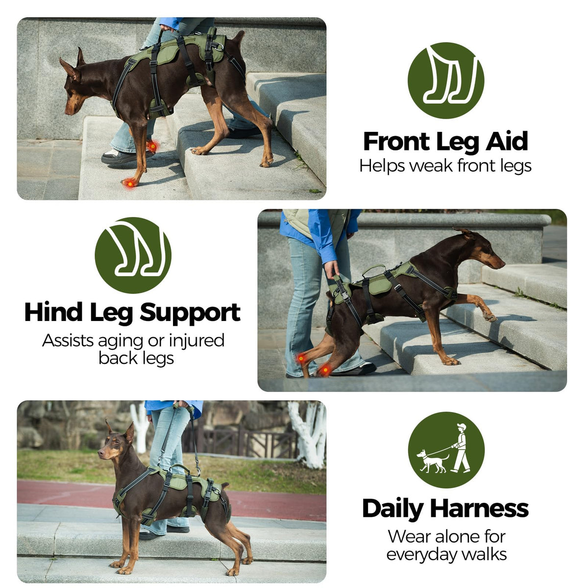 Dog Lift Harness for Large Dogs (Green / X-Large)