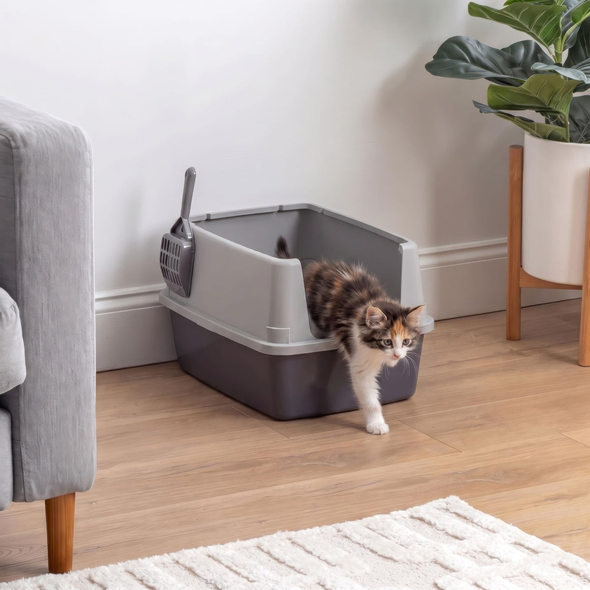 Cat Litter Box Small (Small / Gray)