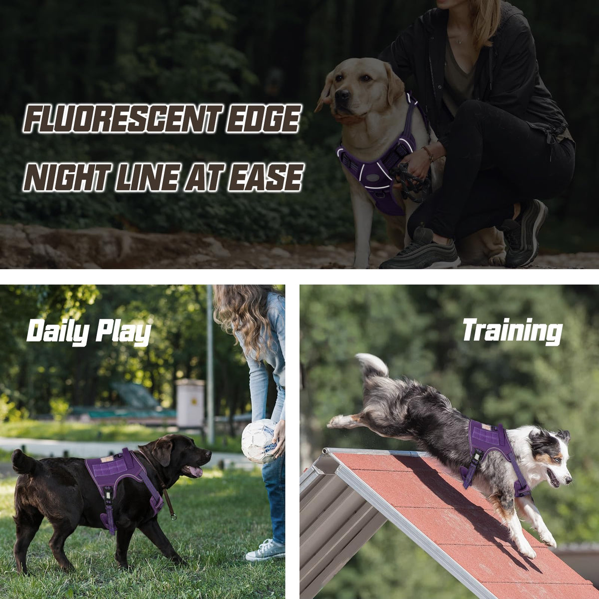 Dog Harness for Large Dogs (Purple / L(Neck:18-29",Chest:24-37"),45-80 lbs)
