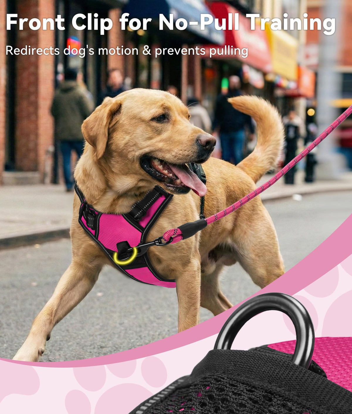 No Pull Dog Harness Medium Sized Dog (Medium / Hotpink)