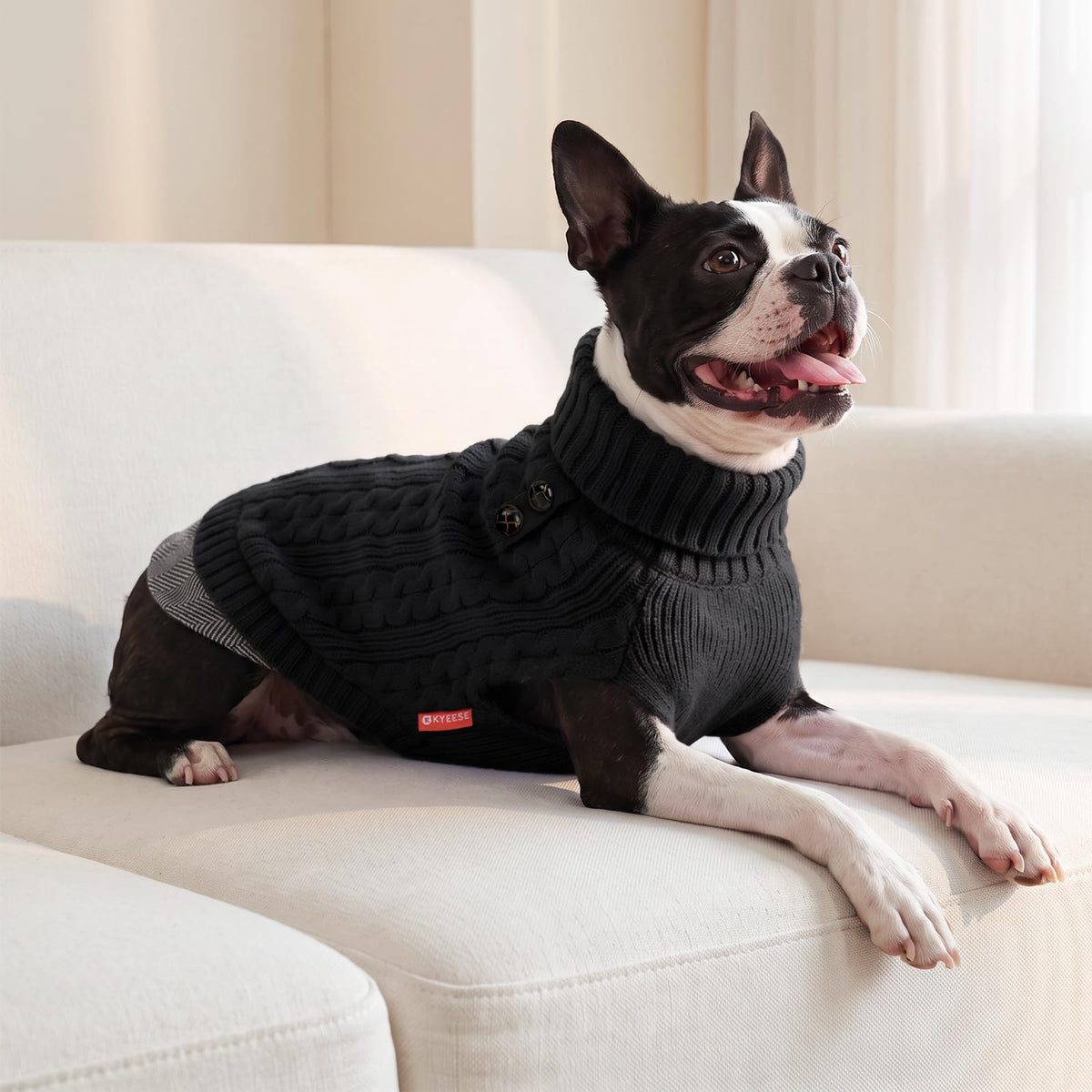 Dog Sweater for Small Dogs Turtleneck Thick Knit Pullover (Medium (7-13lbs) / Black)