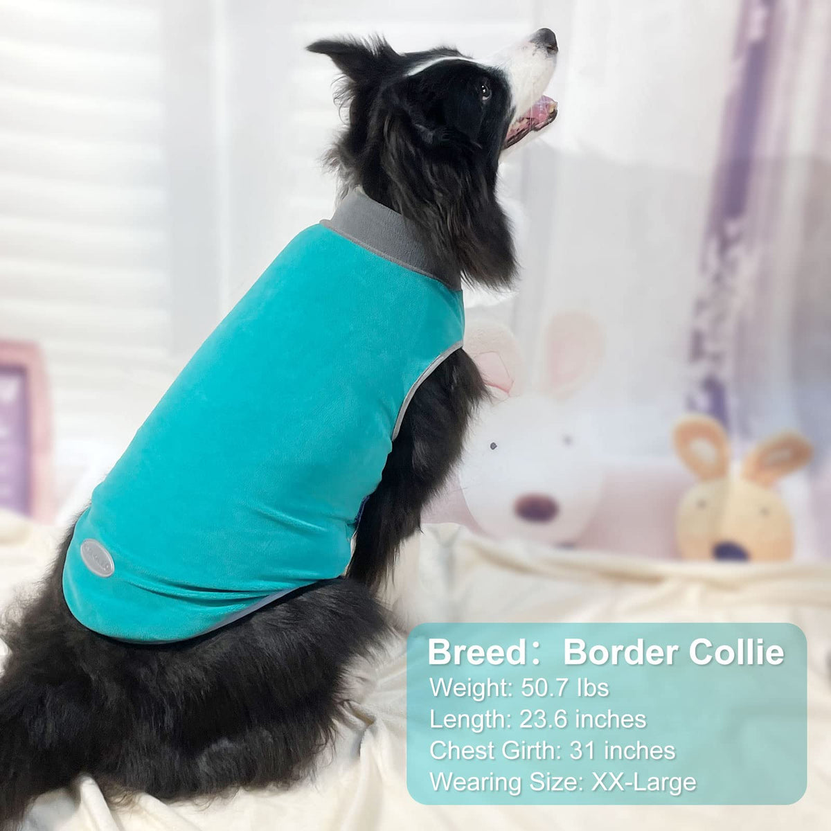 2 Pack Fleece Dog Sweater Pullover Lightweight Reflective Jacket (XX-Large / 1# Teal & Grey)