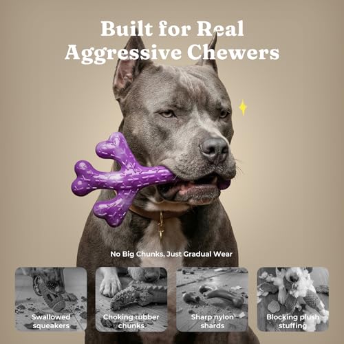 2 Pack Tough Dog Chew Toys for Aggressive Chewers (Green & Purple-2-Pack)