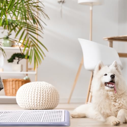 1 Pcs Dog Potty Tray (Gray / 25.6 x 18.9 Inch)