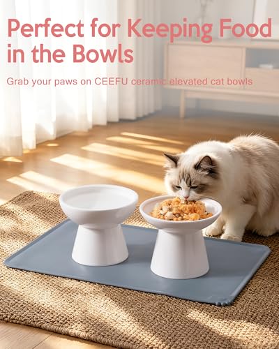 2 Pack Elevated Ceramic Cat Bowls Extra Wide for Food & Water + Food Mat White+Mat (White+Mat)