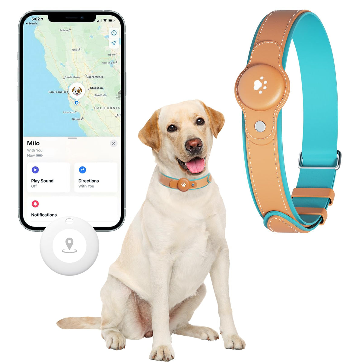 GPS Tracker for Dogs (Brown / L(12.5''-21''))