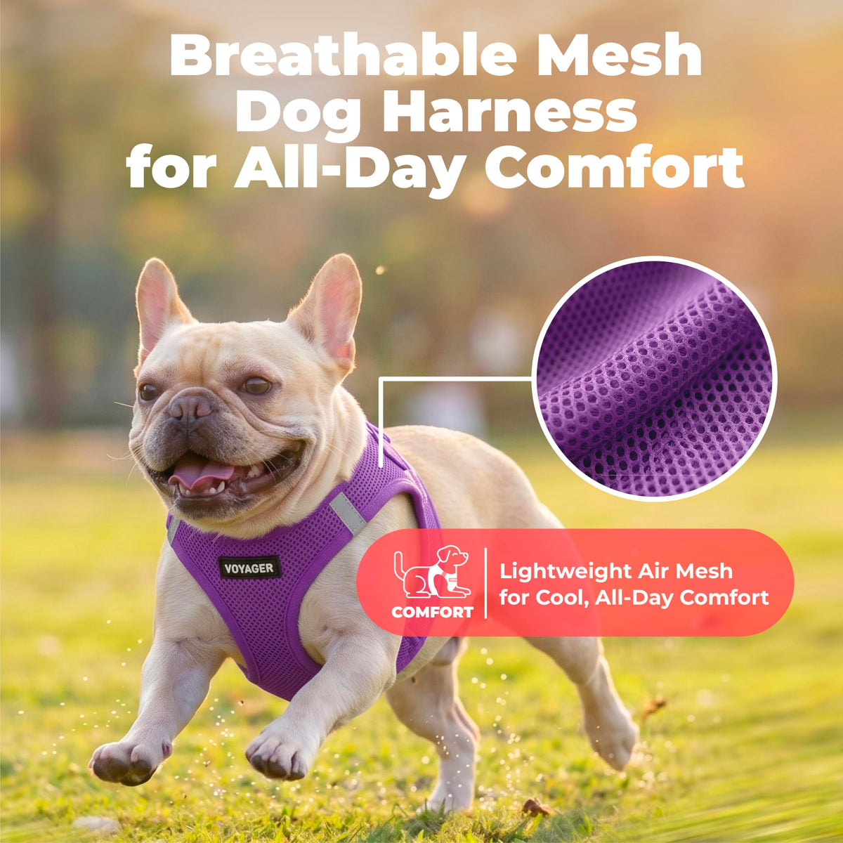 Voyager Step in Air Dog Vest Harness (Purple / M (Chest: 16 - 18"))