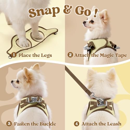 Dog Harness Small Sized and Leash Set (Beige & Coffee / XXS (Chest: 12.4"-14.2"))