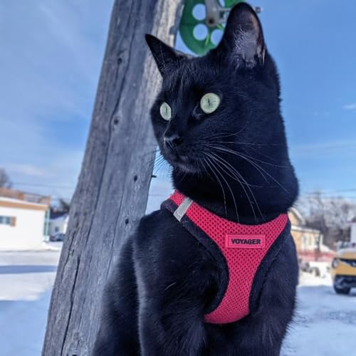 Voyager Step in Air All Weather Mesh Harness and Reflective Dog 5ft Leash Combo with Neoprene Handle
