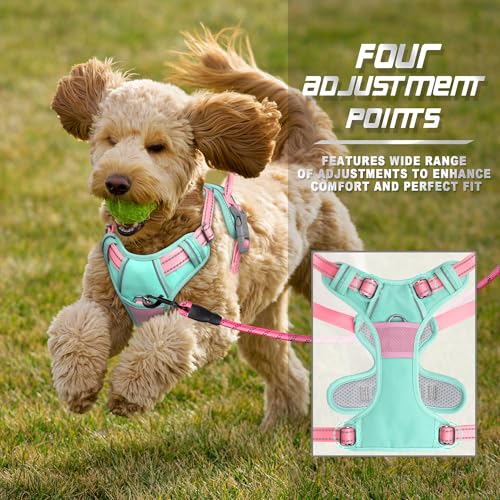 Dog Harness No Pull for Small Sized Dog Front Back Clips (Small(Chest:19.5-26") / Cool Mint & Baby Pink)
