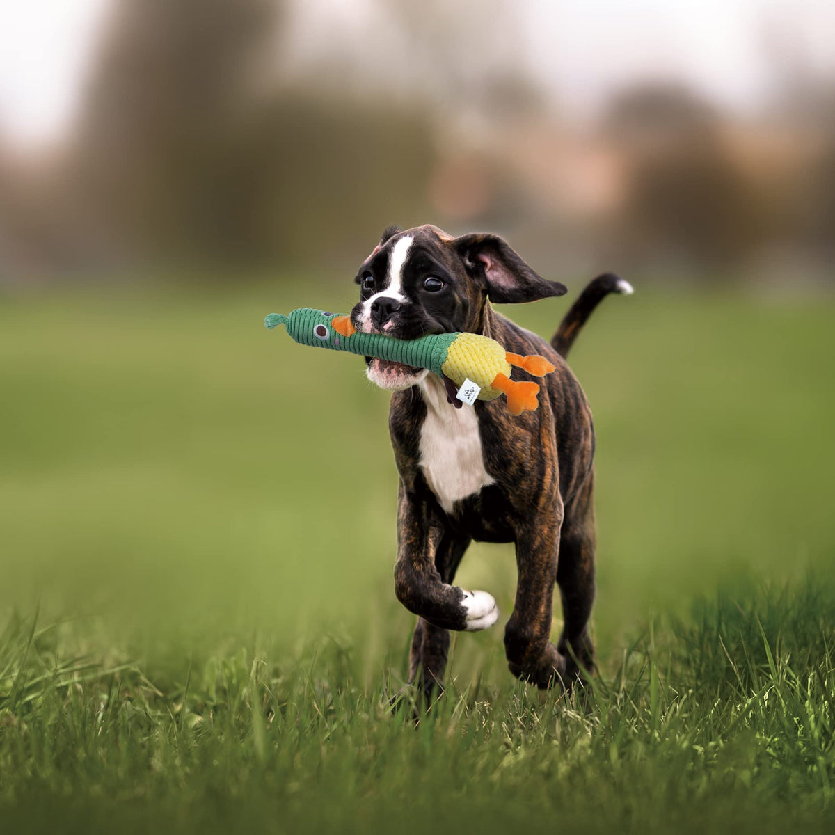 2 in 1 Easter Duck Dog Toy with a Large Rubber Squeaker (Duck)