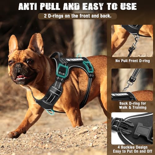 Tactical Dog Harness and Leash Set Small Sized Dog+10 Dog Patches (Small / Black)