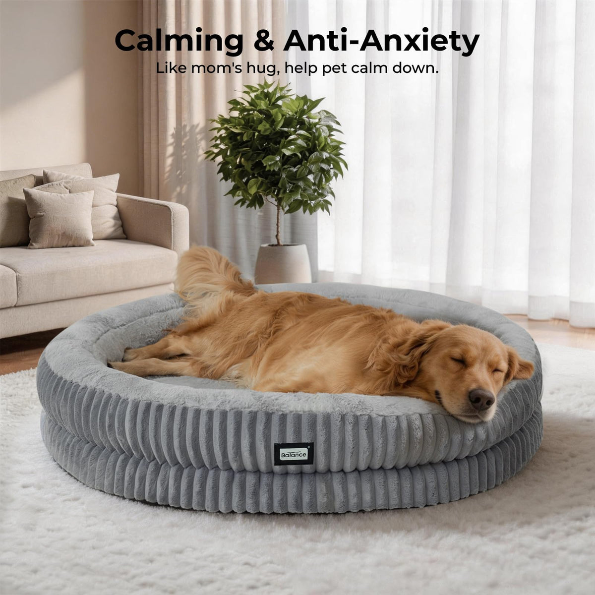 Donut Dog Bed (43.0"L x 43.0"W x 8"Th / Grey)