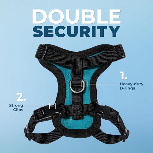 Voyager Step in Lock Cat Harness & Leash Set (Turquoise/Black Trim / XXS (Chest: 11.5 - 14"))