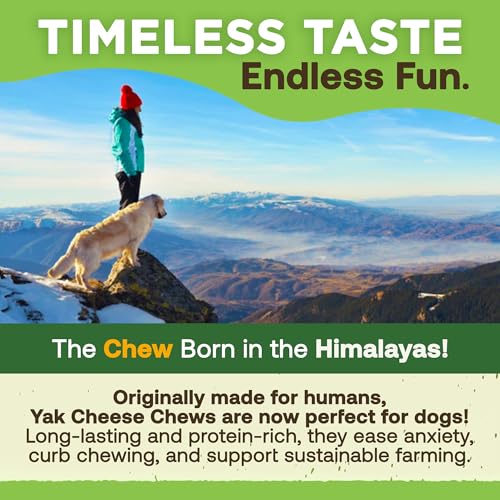 EcoKind Yak Cheese Himalayan Dog Chews