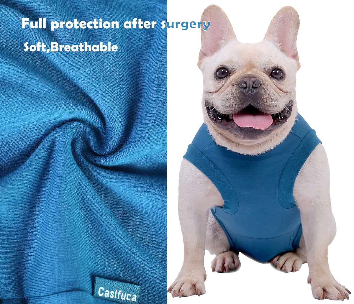 Dog Surgery Recovery Suit (XS(Back 8 - 10" Chest 12 - 14" Weight 4 - 8lb) / Blue)