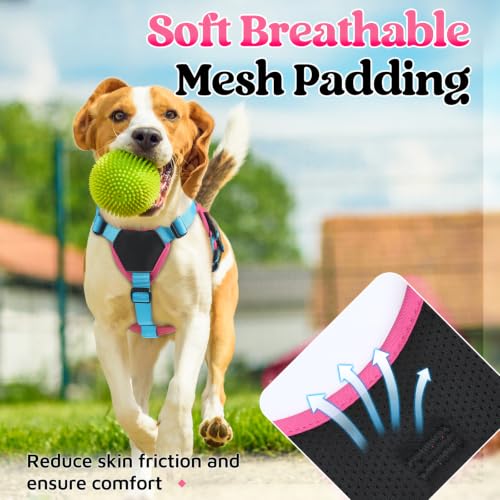 Escape Proof Dog Harness for Small (Sky & Peach & Rose / Small)