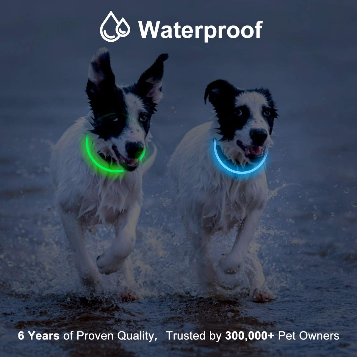 2 Pack LED Dog Collar (Green&Blue)