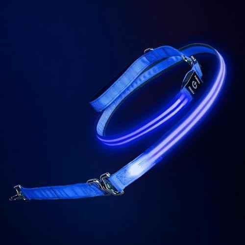 LED Dog Leash (Green / 6 feet)