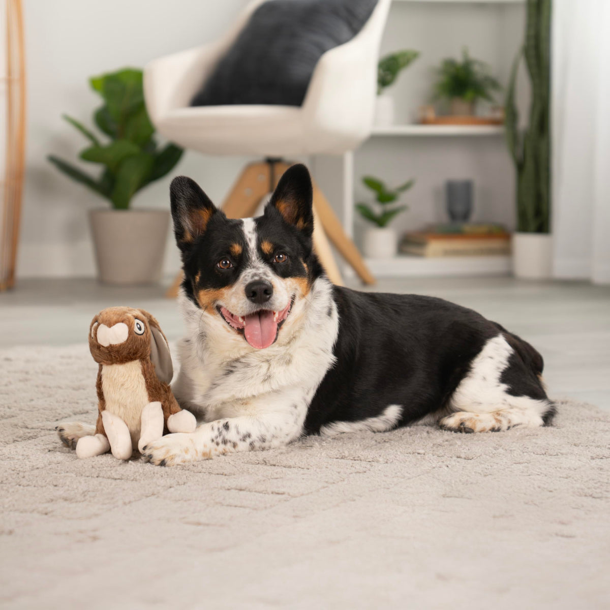 Wildlife Rabbit Squeaky Plush Dog Toy with Chew Guard Technology (Wildlife Rabbit (Brown) / Large)