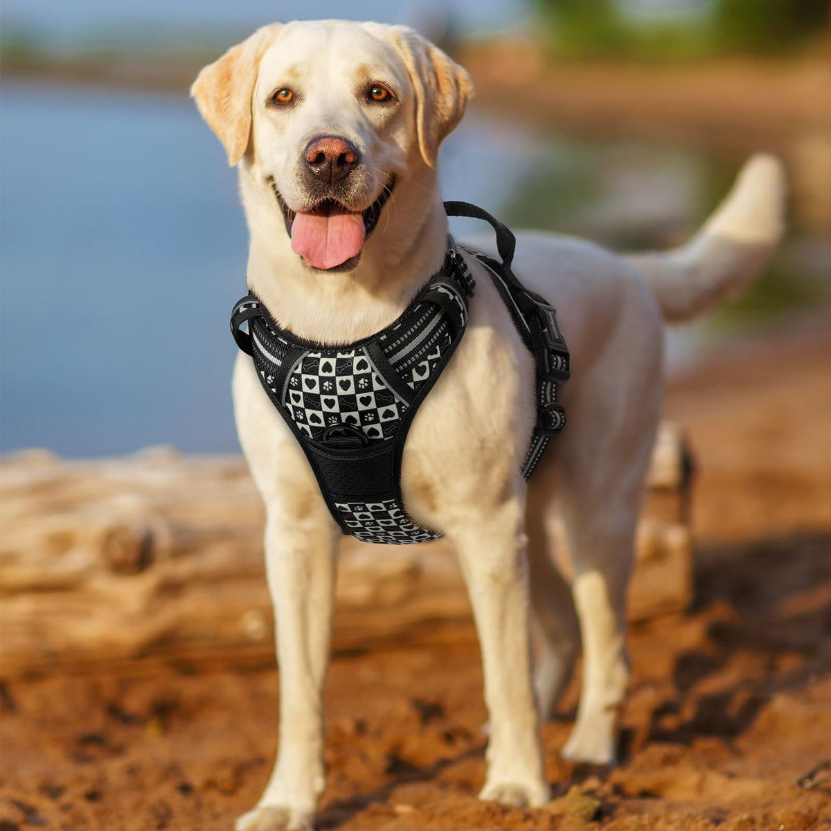 Dog Harness No Pull for Large Dogs with 2 Leash Clips (Large / Black Grid)